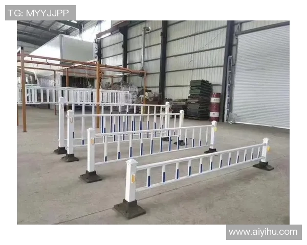 交通护栏在城市交通安全中的作用与发展趋势分析